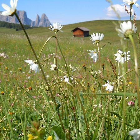 Feldererhof Villa Siusi Kültér fotó