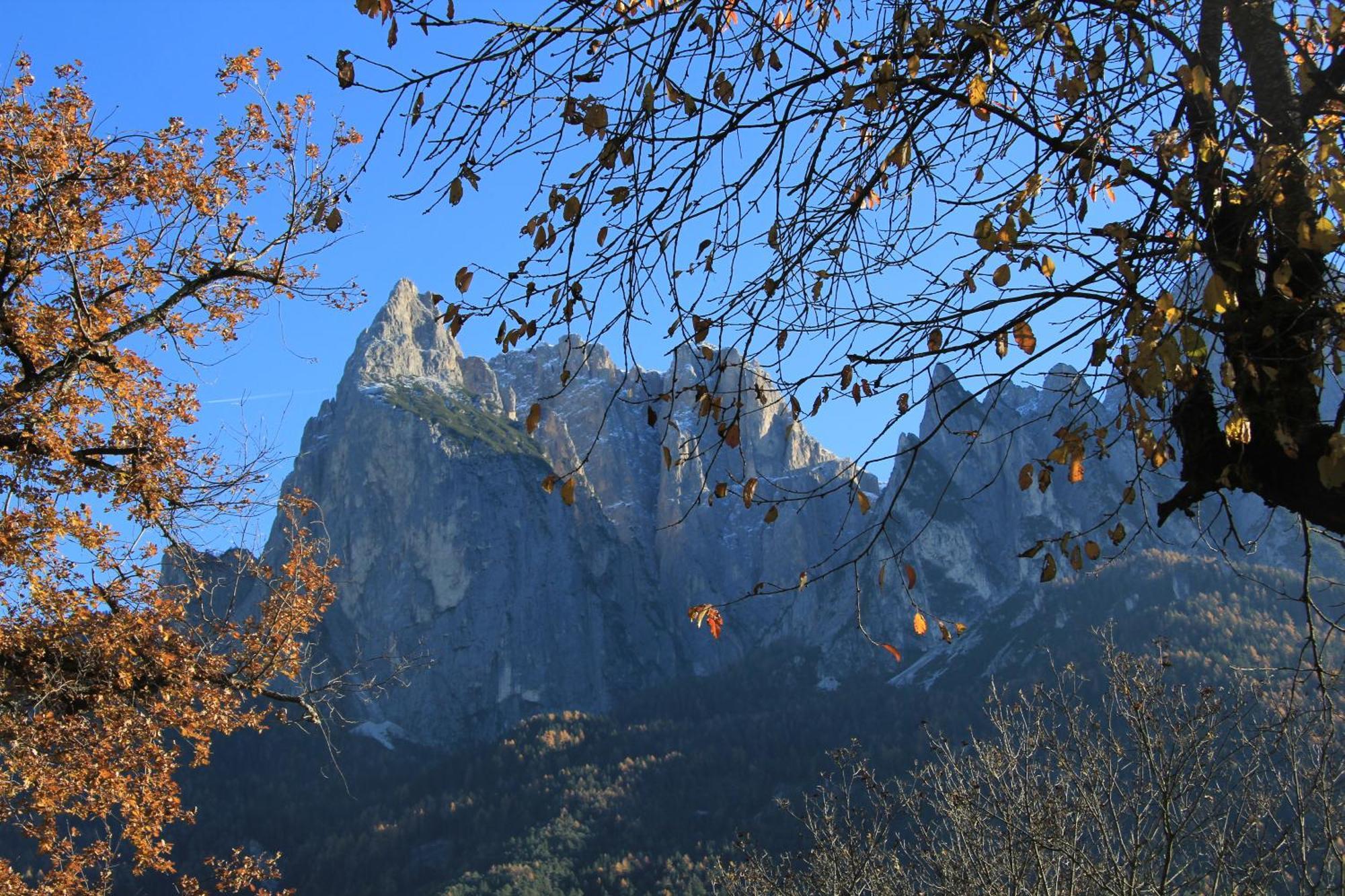 Feldererhof Villa Siusi Kültér fotó