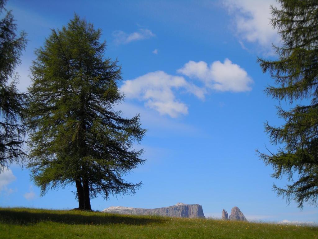 Feldererhof Villa Siusi Kültér fotó